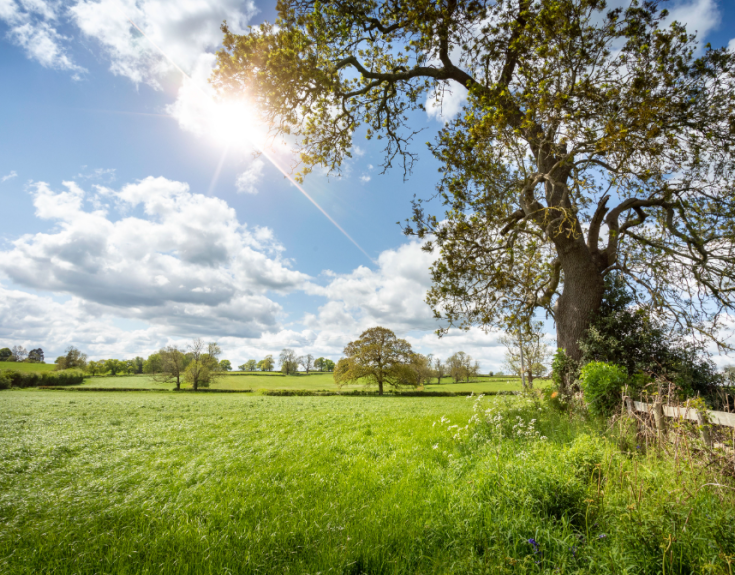 Amber Grove, Kirk Langley Cameron Homes